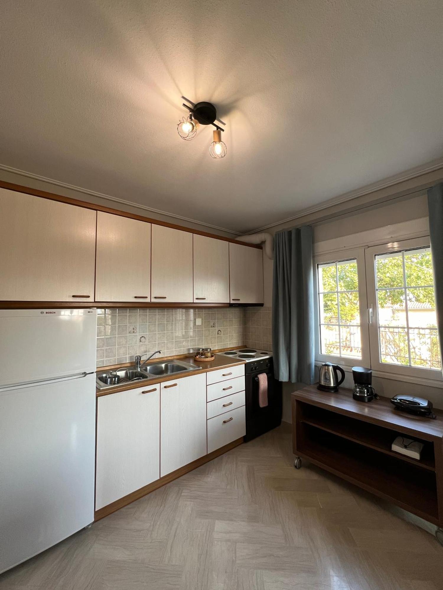 Aiolos Seaside Apartment Marathos  Extérieur photo